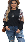 Black Leopard Sequin Patch Plus Size Long Sleeve Top-Plus Size-MomFashion