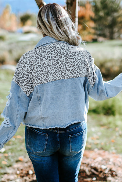 Blue Plus Size Leopard Ripped Cropped Denim Jacket-Plus Size-MomFashion