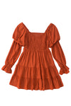 Brown Boho Solid Shirred Ruffle Mini Dress-Dresses-MomFashion