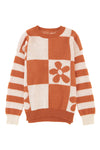 Brown Checkered Floral Print Striped Sleeve Sweater-Tops-MomFashion