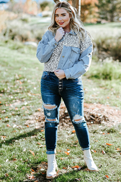 Blue Plus Size Leopard Ripped Cropped Denim Jacket-Plus Size-MomFashion