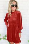 Red Clay Frilled Neck Smocked Bodice Velvet Dress-Dresses-MomFashion