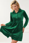 Green Long Sleeve Ruffle Velvet Button Up Dress-Dresses-MomFashion