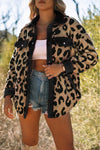 Black Contrast Trimmed Leopard Teddy Shacket-Outerwear-MomFashion