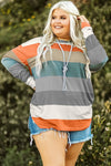 Green Stripe Plus Size Colorblock Pullover Top-Plus Size-MomFashion