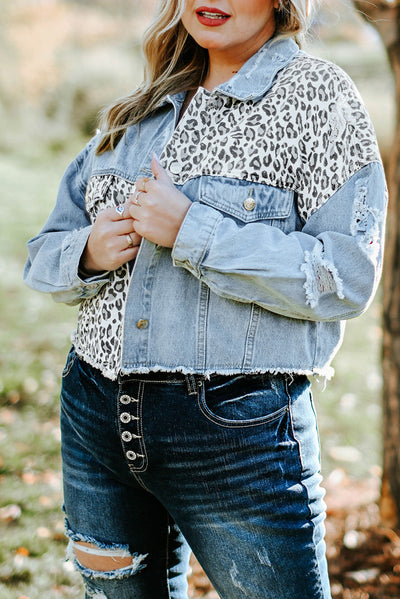 Blue Plus Size Leopard Ripped Cropped Denim Jacket-Plus Size-MomFashion