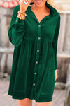 Green Long Sleeve Ruffle Velvet Button Up Dress-Dresses-MomFashion