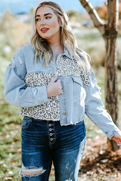 Blue Plus Size Leopard Ripped Cropped Denim Jacket-Plus Size-MomFashion