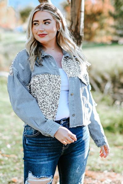 Blue Plus Size Leopard Ripped Cropped Denim Jacket-Plus Size-MomFashion